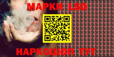 стафф Донецк