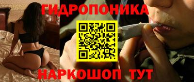 эйфоретик Дубна