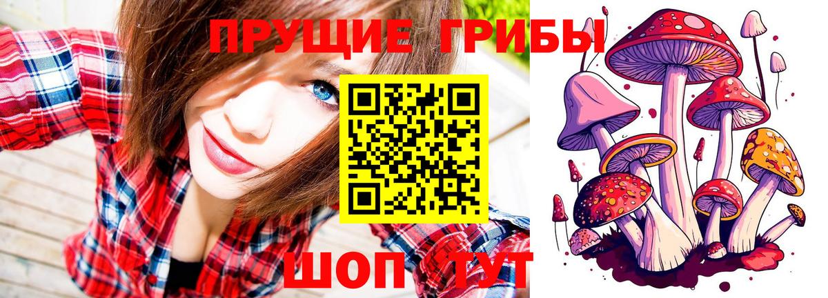 Псилоцибиновые грибы Psilocybine cubensis Мичуринск