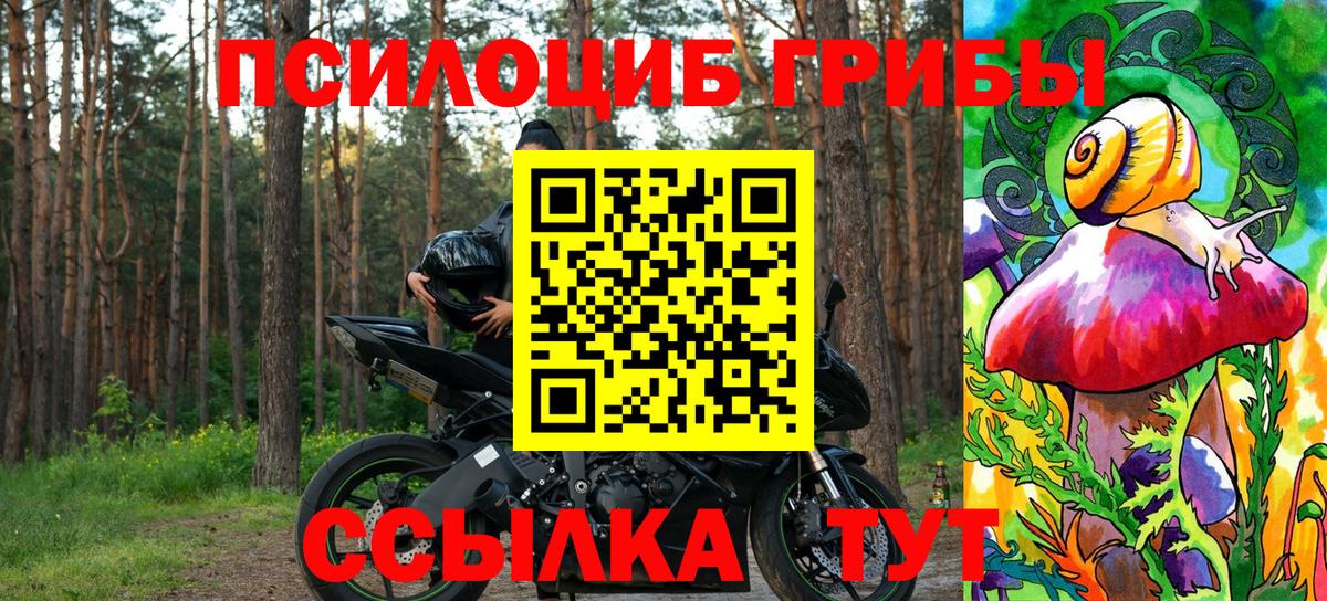 Псилоцибиновые грибы GOLDEN TEACHER  купить наркоту  Мичуринск  Псилоцибиновые грибы Psilocybe  Вход с VPN 